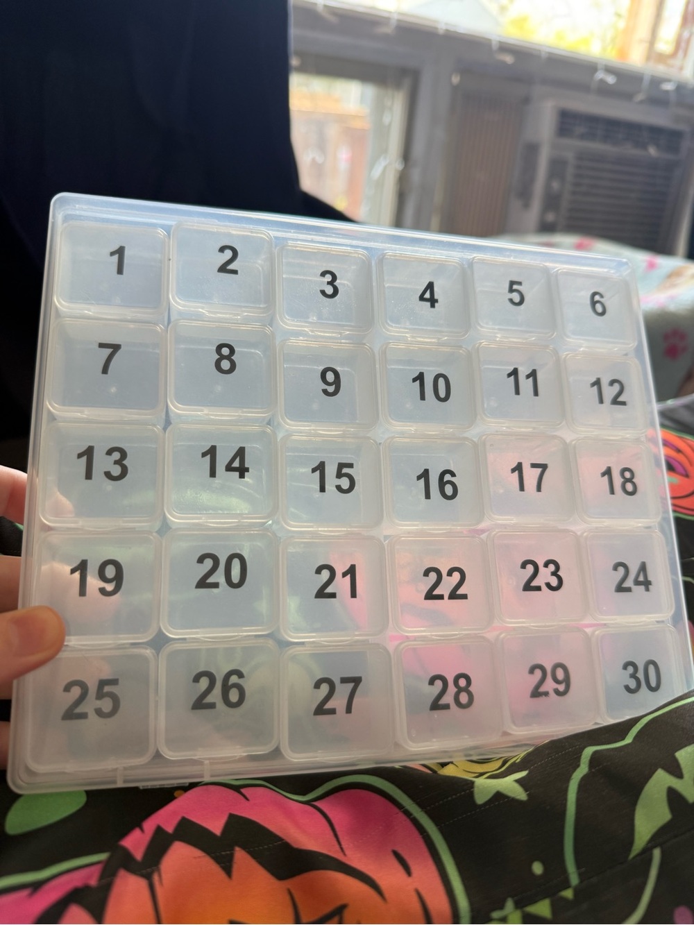 Clear 30 day Compartment Numbered Storage Organizer